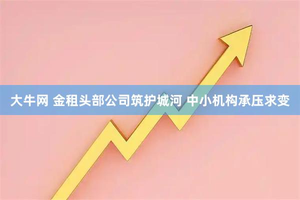 大牛网 金租头部公司筑护城河 中小机构承压求变