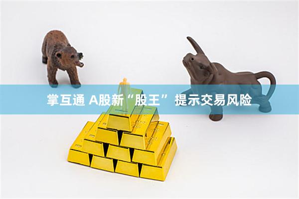 掌互通 A股新“股王” 提示交易风险
