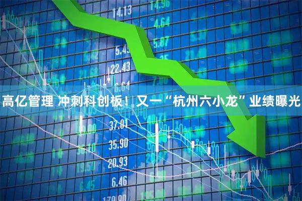 高亿管理 冲刺科创板！又一“杭州六小龙”业绩曝光